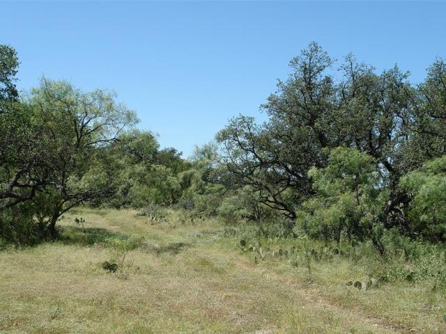 Land for sale in Melvin, Texas