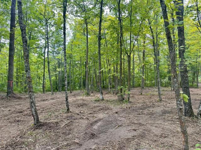 Land for sale in Remer, Minnesota