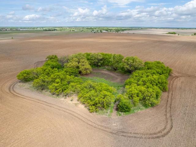 Land for sale in Coleman, Texas