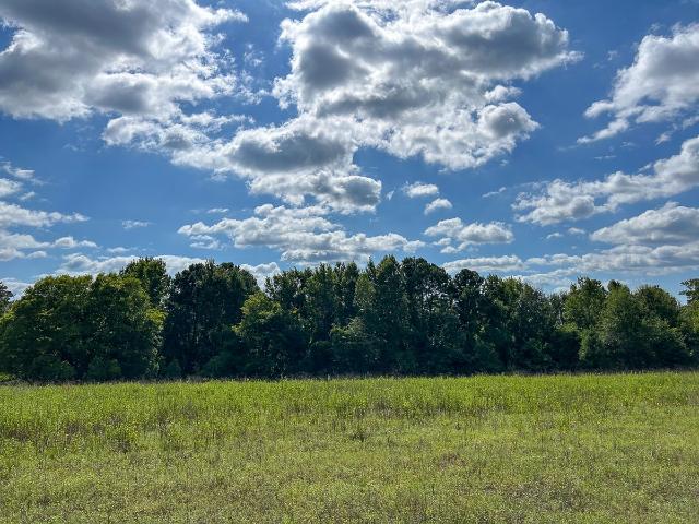 Land for sale in Rusk, Texas