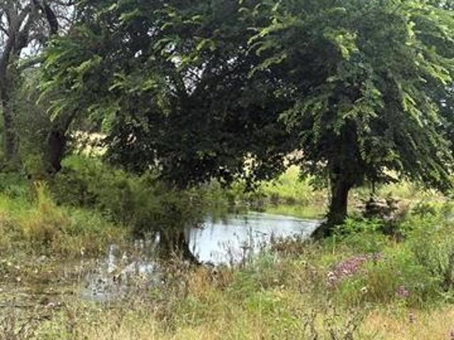Land for sale in Burnet, Texas