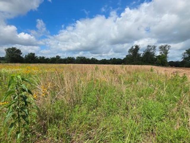 Land for sale in Plantersville, Grimes County