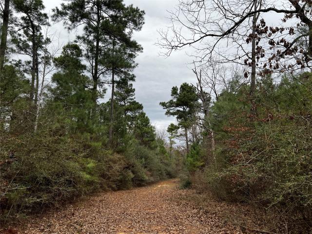 Land for sale in Leon, Texas