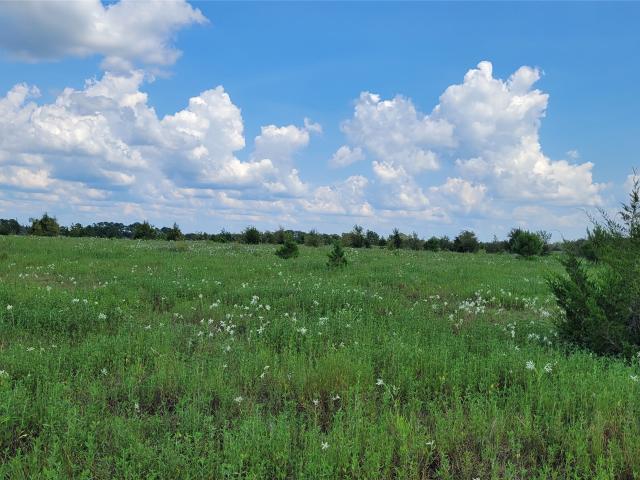 Land for sale in Grimes, Texas