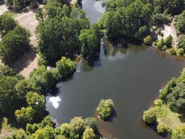 Land for sale in Shepherd, Texas