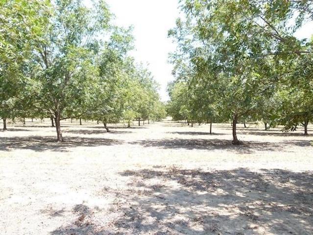 Land for sale in San Saba, Texas