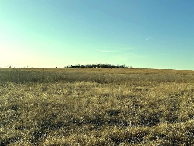 Land for sale in Texas