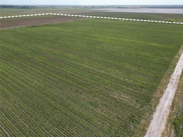 Land for sale in Ganado, Texas