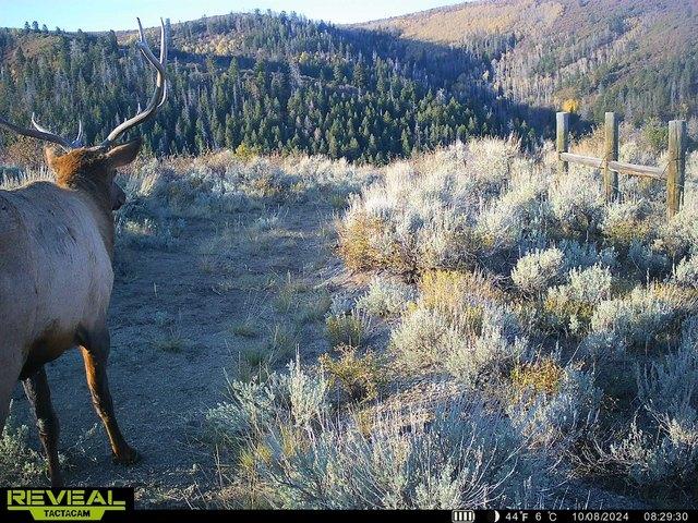 Farm for sale in Garfield, Colorado