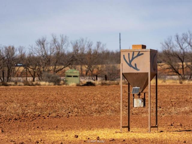Land for sale in Colorado City, Texas