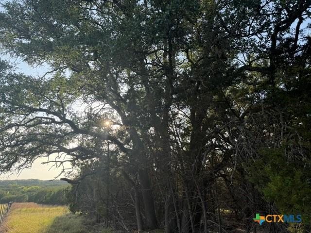 Land for sale in Lometa, Texas