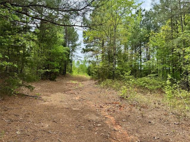 Land for sale in Naples, Texas
