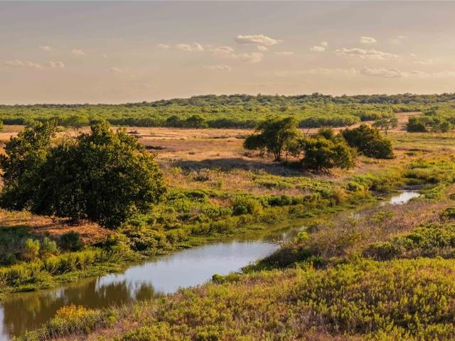 Land for sale in Callahan, Texas