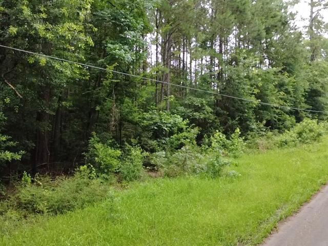 Land for sale in Colmesneil, Texas
