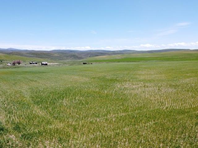 Farm for sale in Craig, Colorado