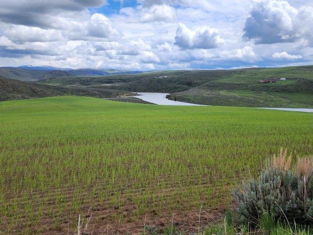 Farm for sale in Craig, Colorado