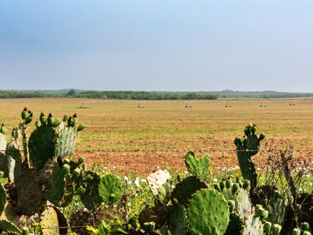 Land for sale in Pearsall, Texas
