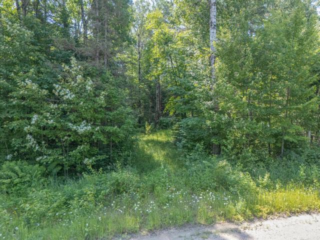 Land for sale in Mountain Iron, Minnesota