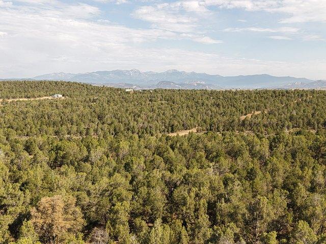 Land for sale in La Plata, Colorado