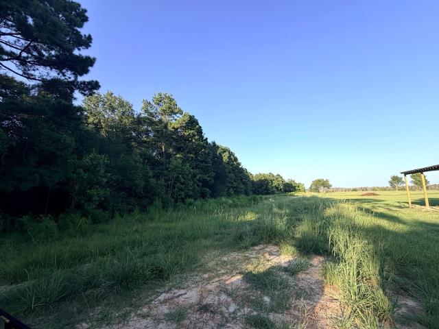 Land for sale in Newton, Texas