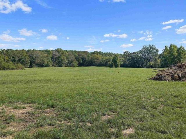 Land for sale in Mount Enterprise, Texas