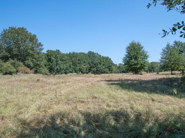 Land for sale in Centerville, Leon County