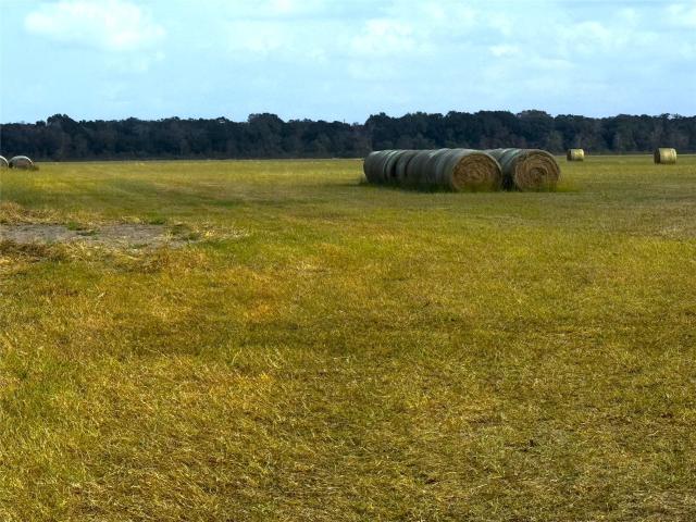 Land for sale in Wharton, Texas