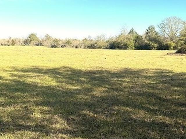 Land for sale in Lexington, Texas