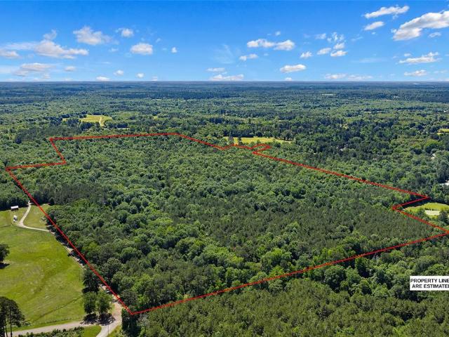 Land for sale in Panola, Texas