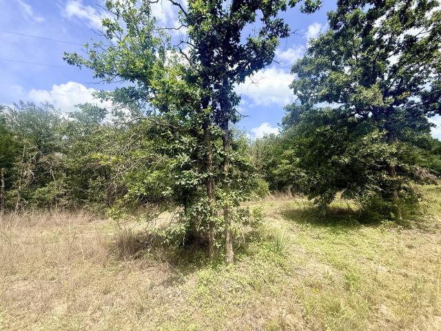 Land for sale in Lexington, Texas