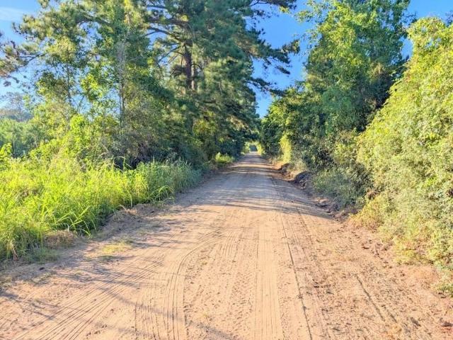 Land for sale in Lovelady, Texas