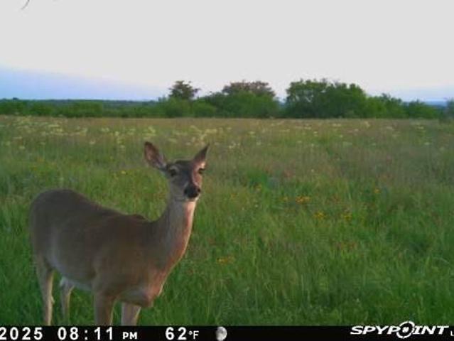 Land for sale in Dublin, Texas