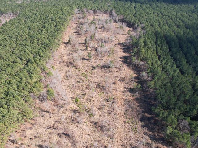 Land for sale in Marion, Texas