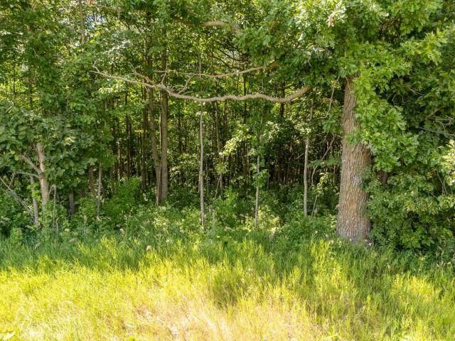Land for sale in Todd, Minnesota