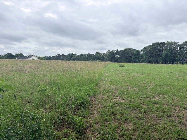 Land for sale in Henderson, Texas
