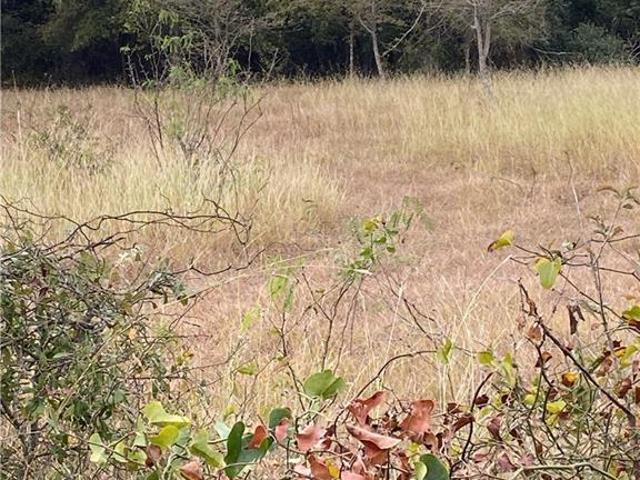 Land for sale in Milam, Texas