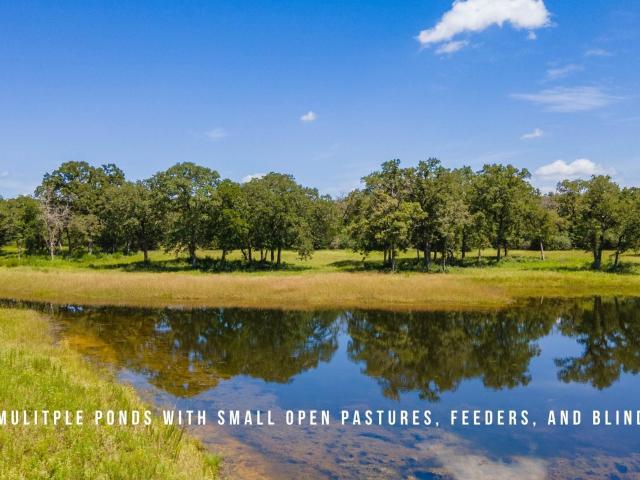 Farm for sale in Lexington, Texas