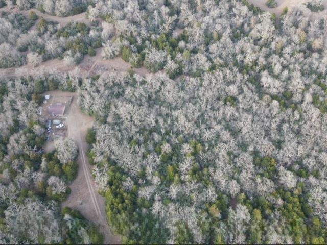 Land for sale in Leon, Texas