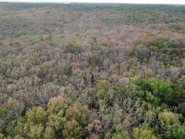 Land for sale in Cross Timbers, Hickory County