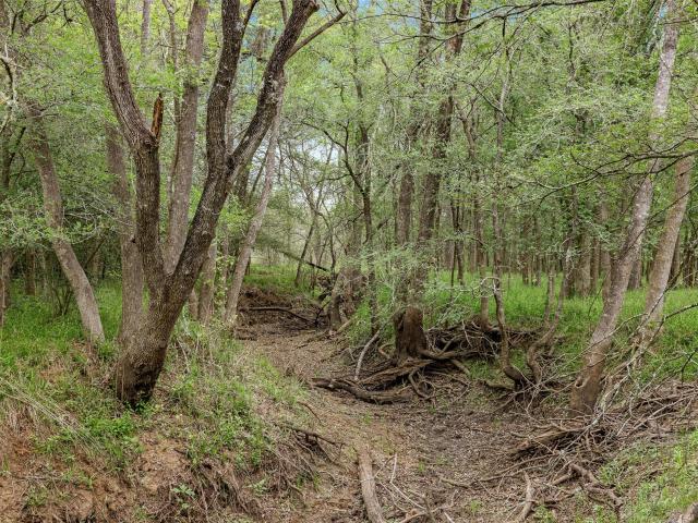 Land for sale in Dime Box, Texas