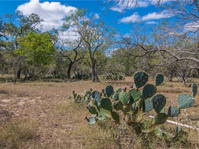Farm for sale in Wilson, Texas