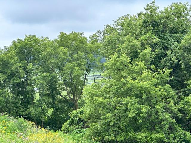 Land for sale in Chaska