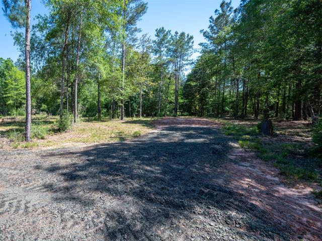 Land for sale in Hillister, Texas