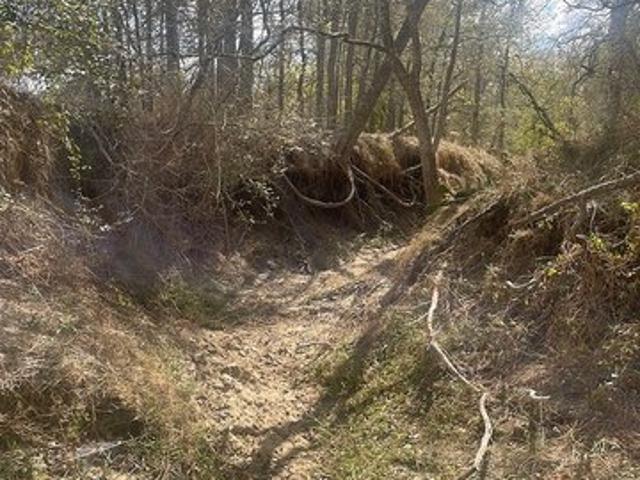 Farm for sale in Waelder, Gonzales County
