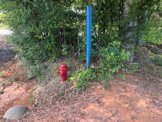 Land for sale in Headland, Alabama