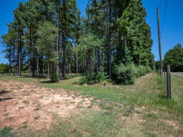 Land for sale in Fred, Texas