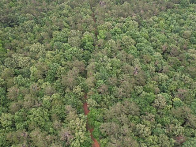 Land for sale in Shelby, Texas