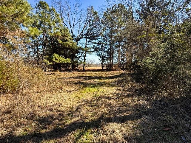 Land for sale in Henderson, Texas