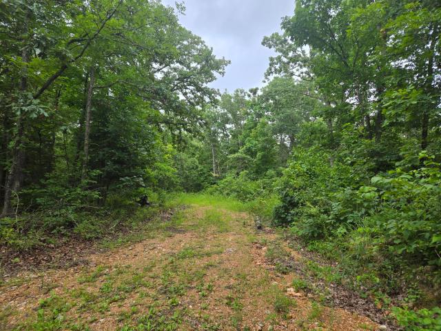 Land for sale in Hickory, Missouri