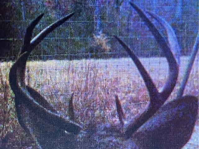 Land for sale in Leon, Texas